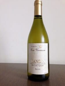candiacolliapuani